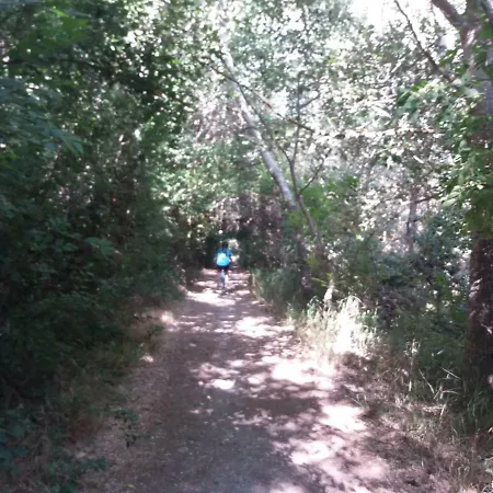 Erillas